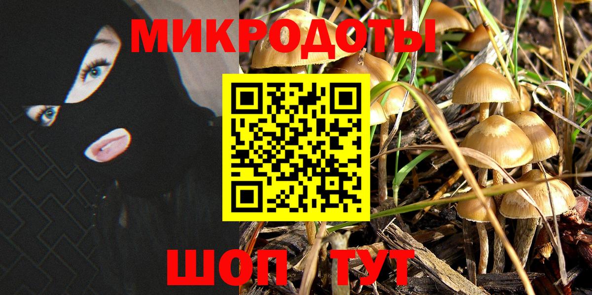 Галлюциногенные грибы Cubensis  Вход с VPN  Златоуст 