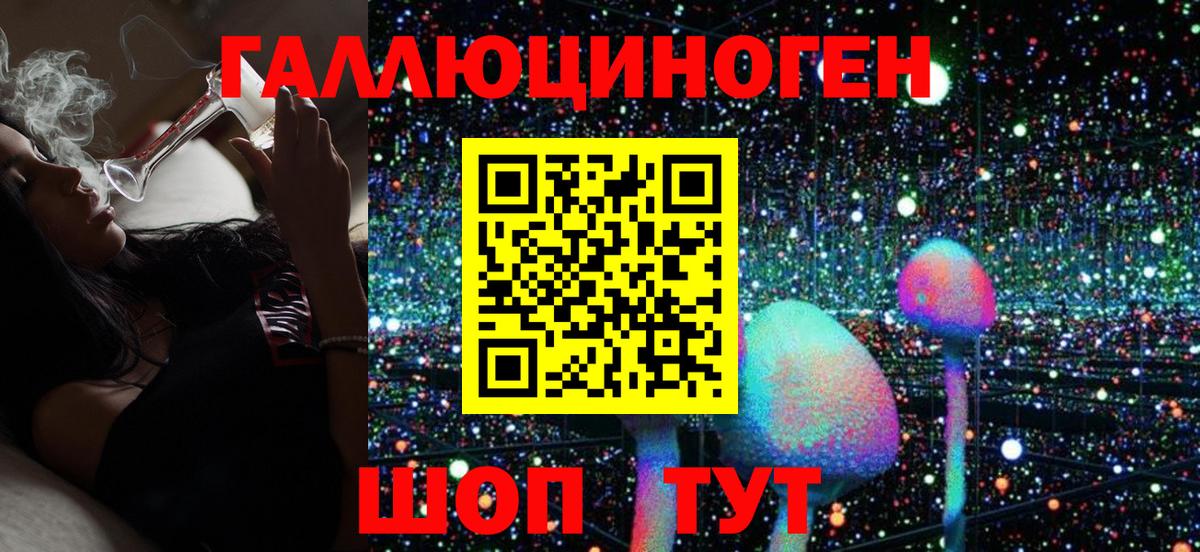 Псилоцибиновые грибы Psilocybe Златоуст